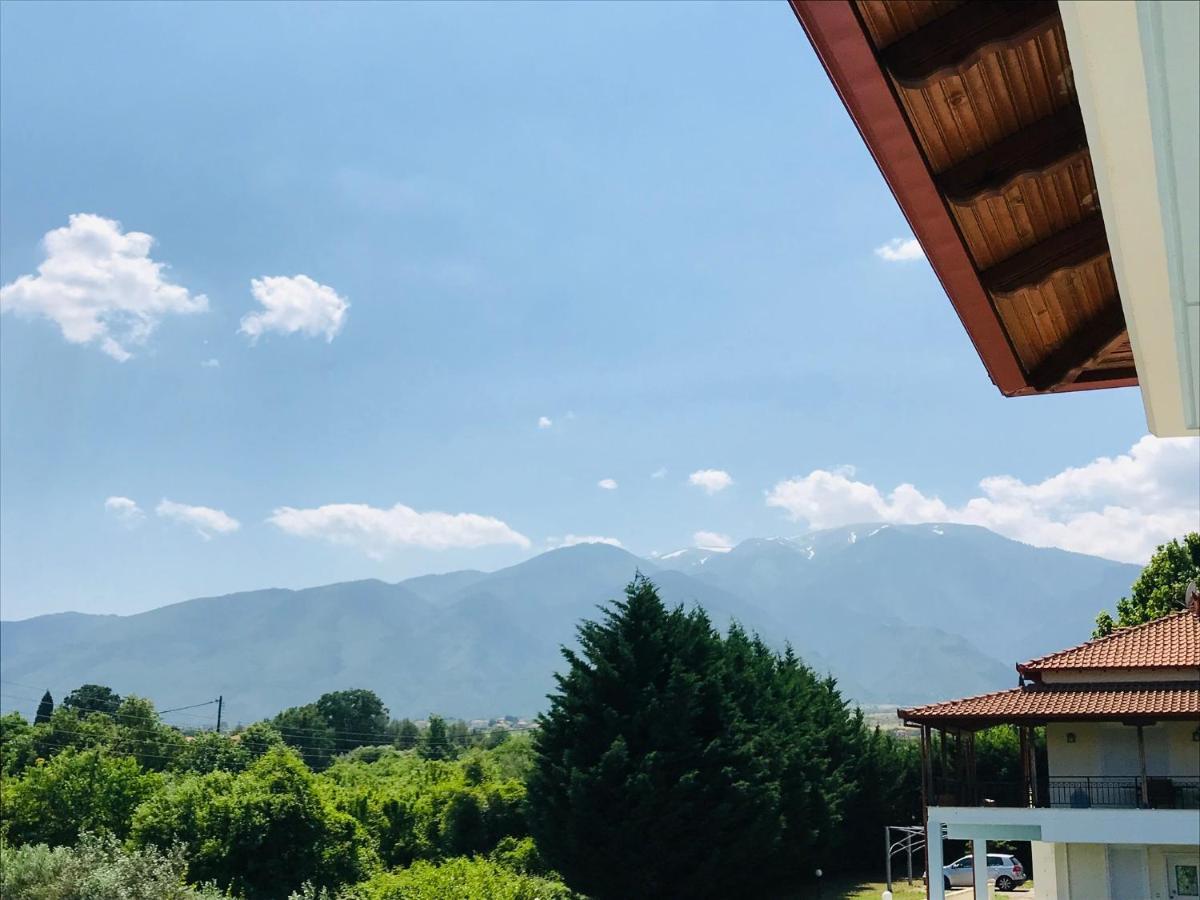 Appartamento Dimeli 1 Plaka Litochorou Esterno foto